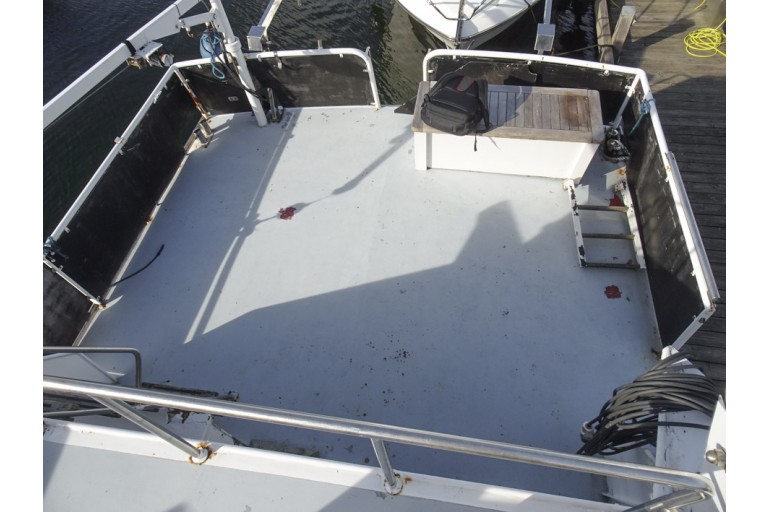 Motor cruiser Goya 12.50 Flybridge