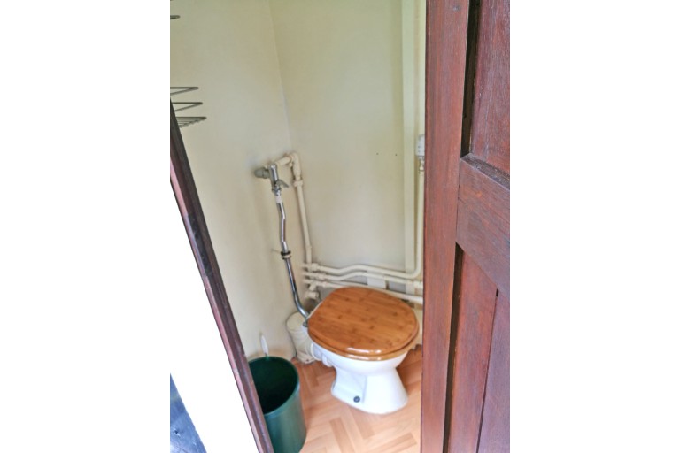 Stoom Dagpassagiersschip 60 pers