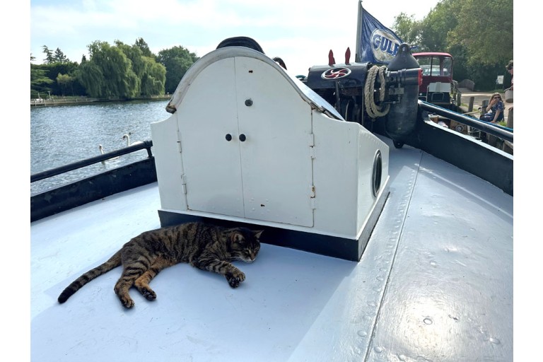 Peniche Hollandaise 19.08 Luxe Motor