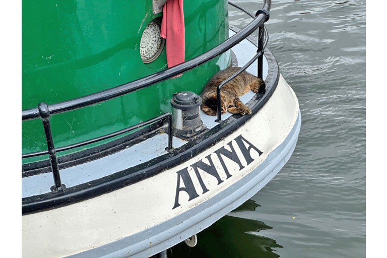 Peniche Hollandaise 19.08 Luxe Motor