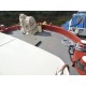 Dutch Barge 19.98