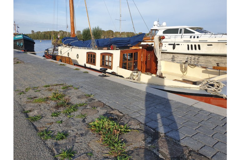 Rietaak 14.04