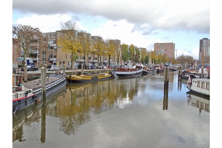 Groninger Boltjalk 19.99