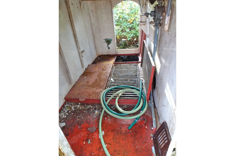 Luxe Motor Elizabeth III 42.46 casco