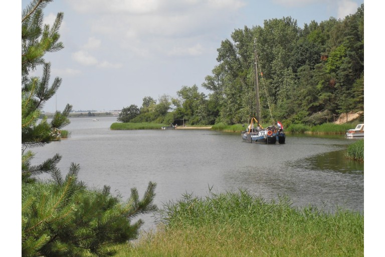 Dutch Barge Hasselteraak 21.25 with Rhine certificate