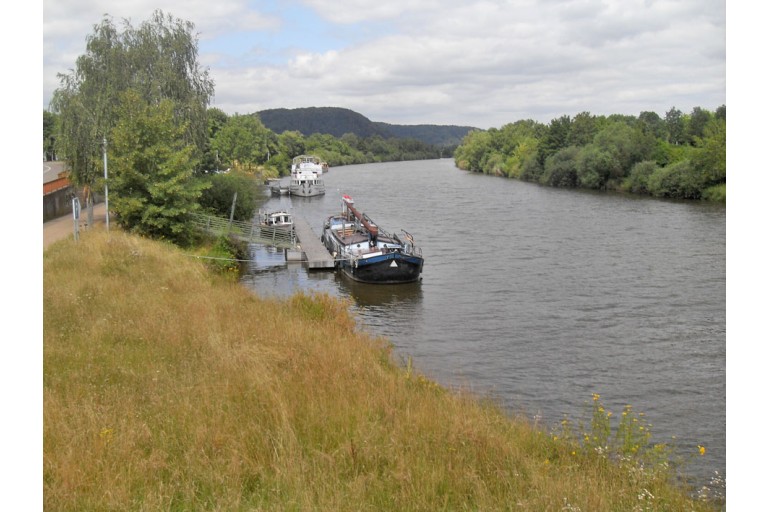 Dutch Barge Hasselteraak 21.25 with Rhine certificate