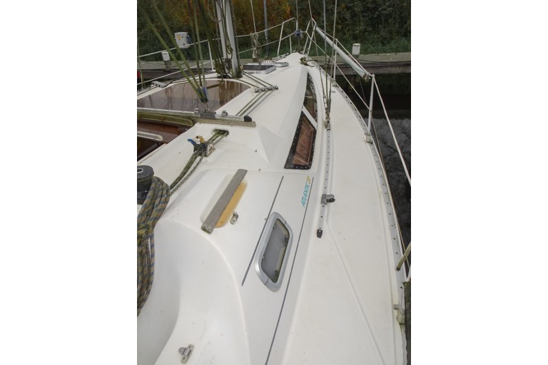 Atlantic 31