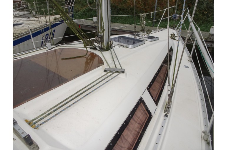 Atlantic 31