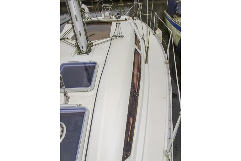 Atlantic 31