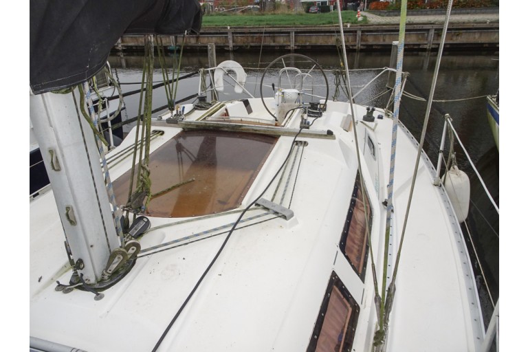 Atlantic 31