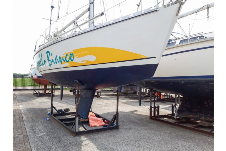 Atlantic 31