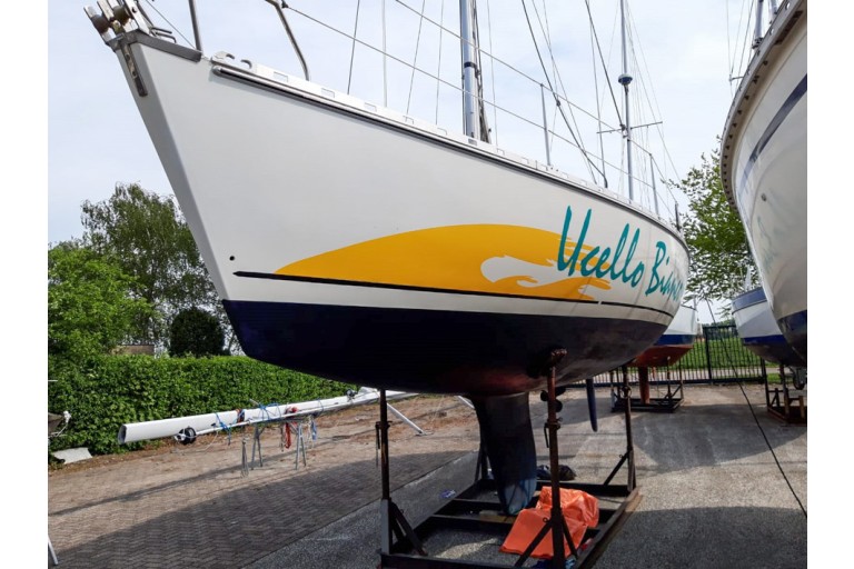 Atlantic 31