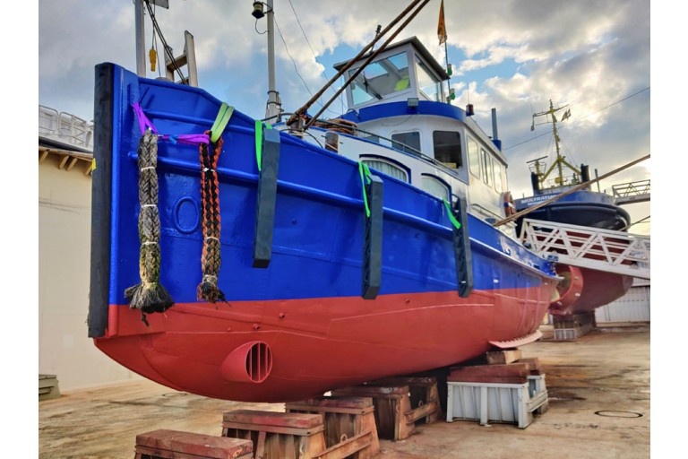 Remorqueur / Pousseur 17.58 avec ES-TRIN