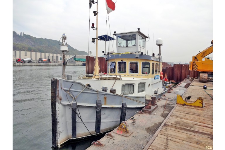 Remorqueur / Pousseur 17.58 avec ES-TRIN