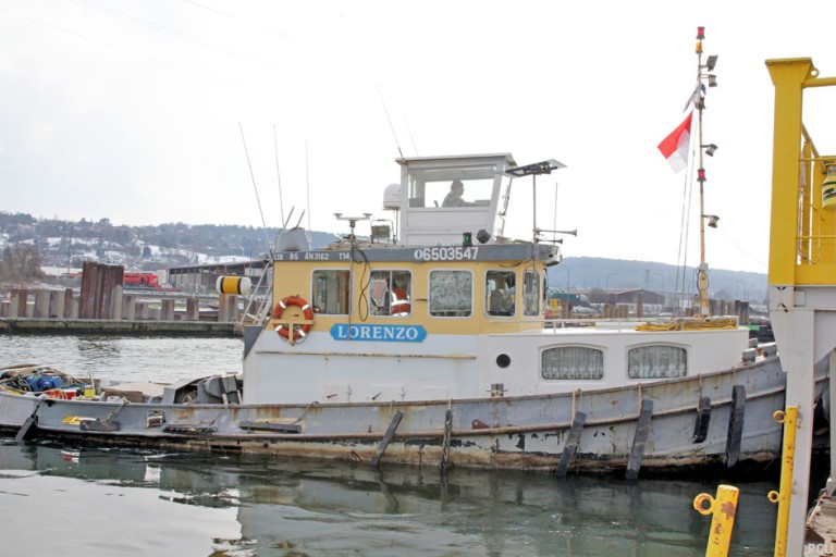 Remorqueur / Pousseur 17.58 avec ES-TRIN