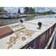 Klassische Niederländische Motoryacht 8.90