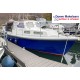 Mitchell Sea Angler 31 AK
